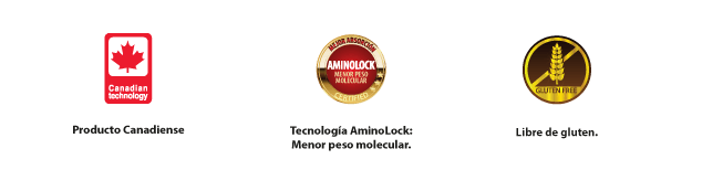 Producto Canandiense Tecnología Aminolock Menor Pesos Molecular Libre de Gluten