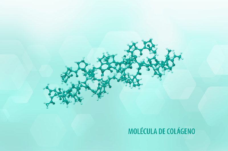 Molécula Colágeno